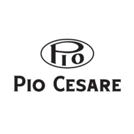 (image for) PIO CESARE NEBBIOLO D'ALBA 2004